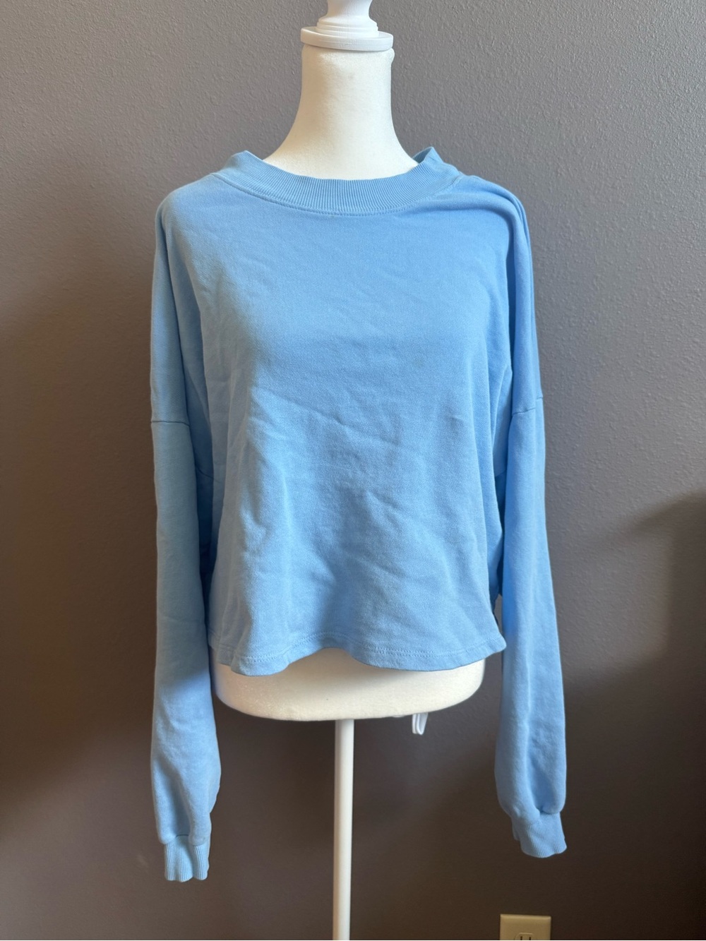 wild fable | Sky Blue Cropped Crewneck Sweatshirt | Size Large